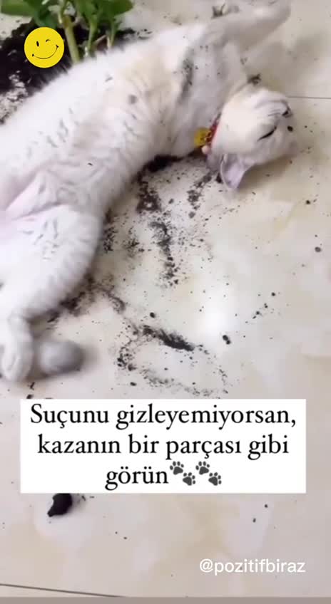 Suçu gizleyemiyorsan, kazanın bir parçası gibi görün