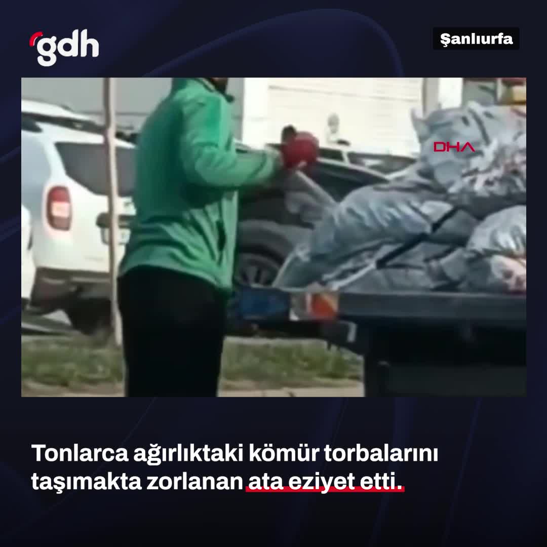 Şanlıurfa'da atı eziyet ederek kömür torbası taşımaya zorladı