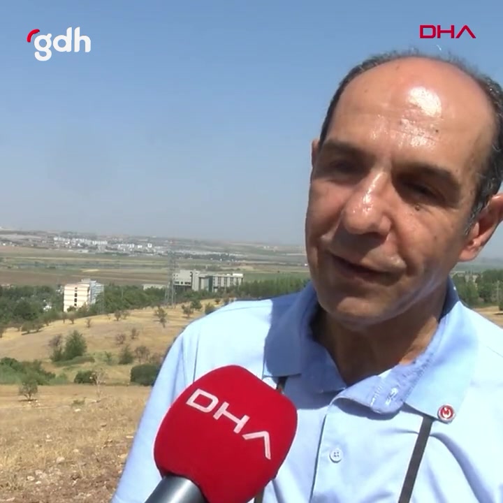 Diyarbakır'da 3 kuş türü ilk kez görüntülendi!