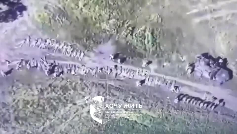 Kursk'ta teslim olan Rus askerler havadan görüntülendi