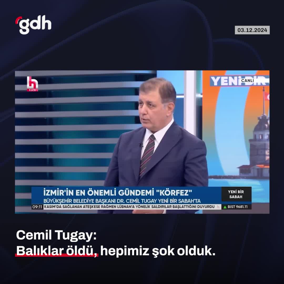 İzmir'de Körfez'de Koku ve Balık Ölümleri Şoku!