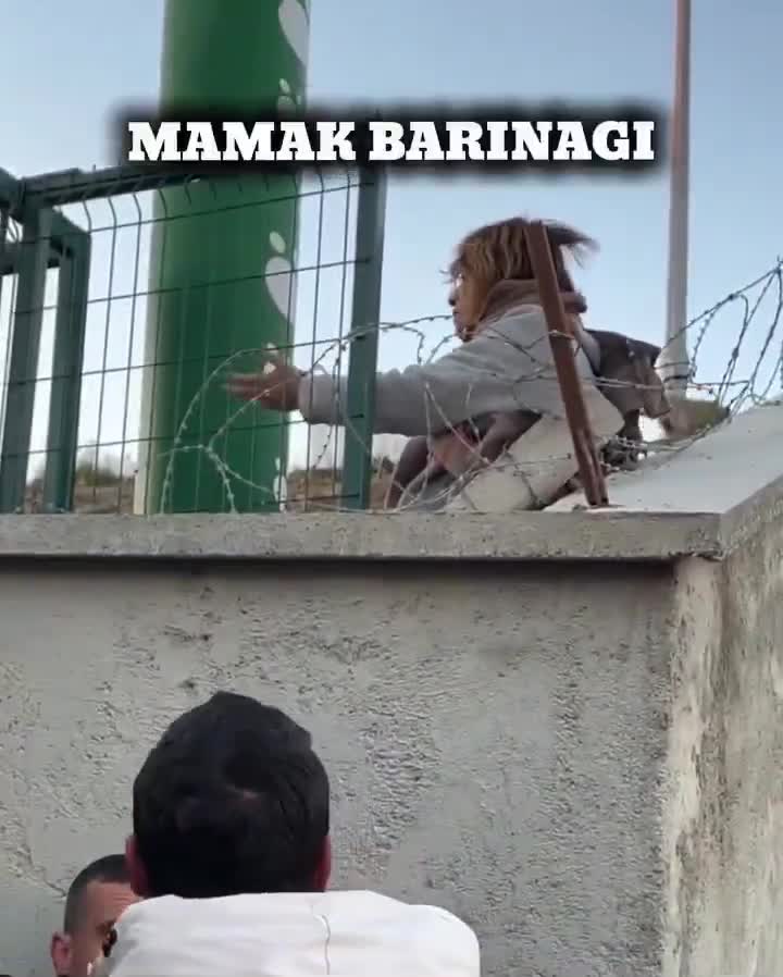 Mamak'ta barınaktaki köpekler sokağa salındı